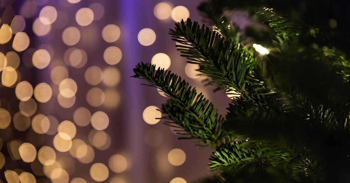 Safety Tips for Christmas Lights