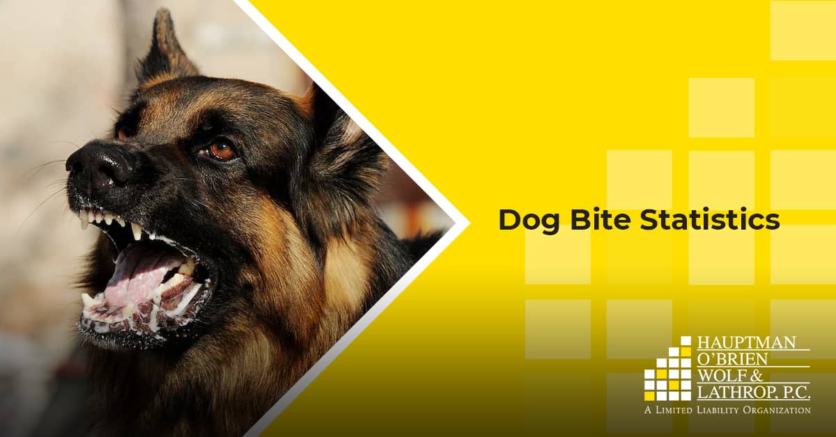 Dog Bite Data