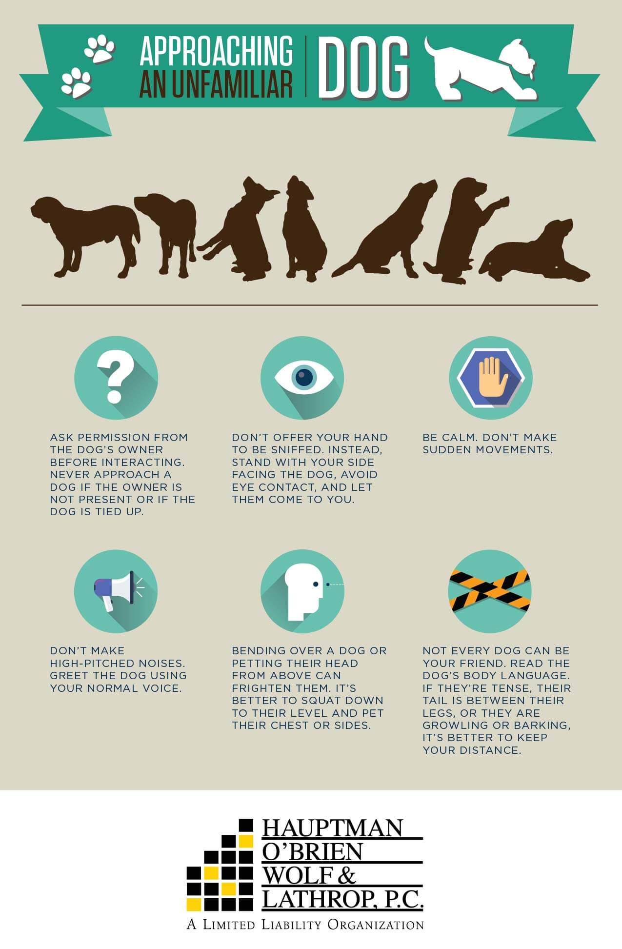 Infographic - Six Tips For Approaching an Unfamiliar Dog
