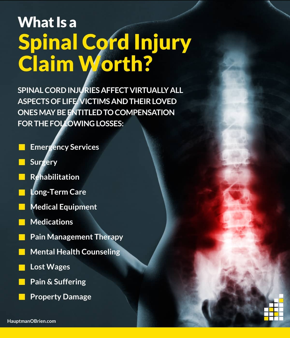 Evaluating Damages for a Spinal Cord Injury | Hauptman, O'Brien, Wolf and Lathrop