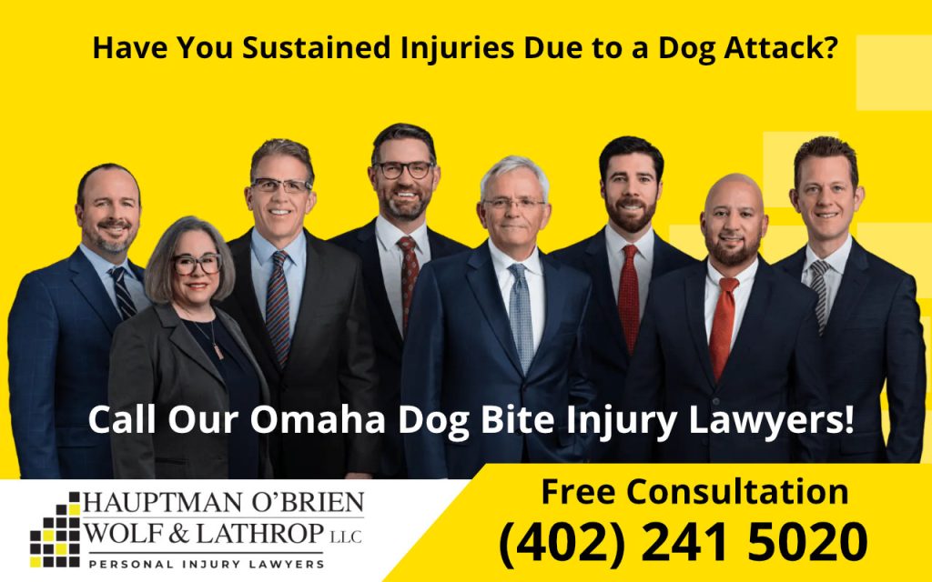 Omaha Dog Bite and Animal Attack Injury Lawyers - Hauptman, O'Brien, Wolf & Lathrop, LLC